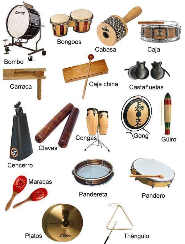 Descubre los 12 instrumentos deDescubre los 12 instrumentos de  